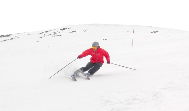 BASI Level 2 Skier